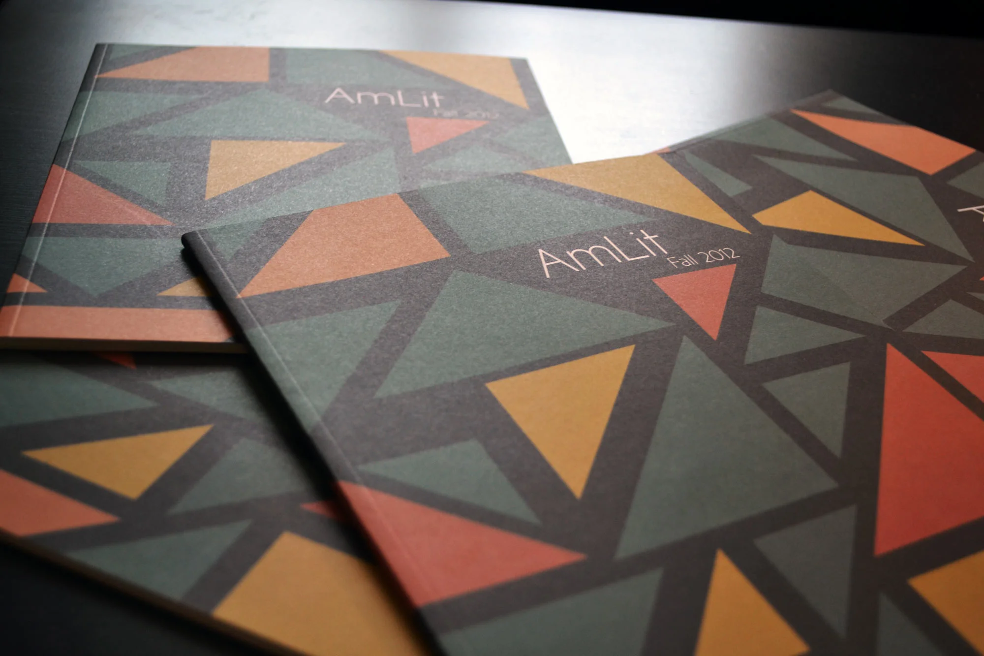 amlit_fall2012_1.jpg