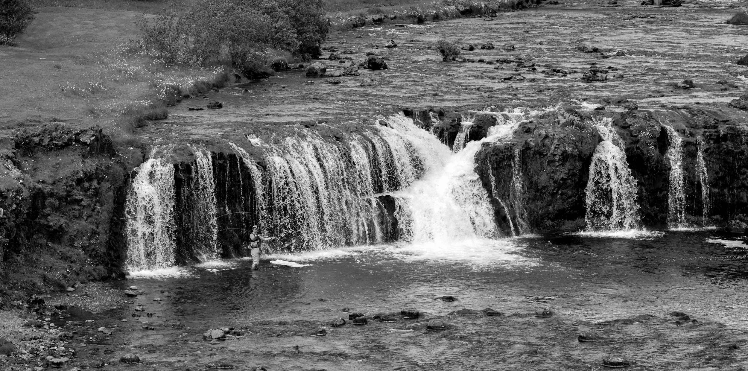 DSC_6779.jpg