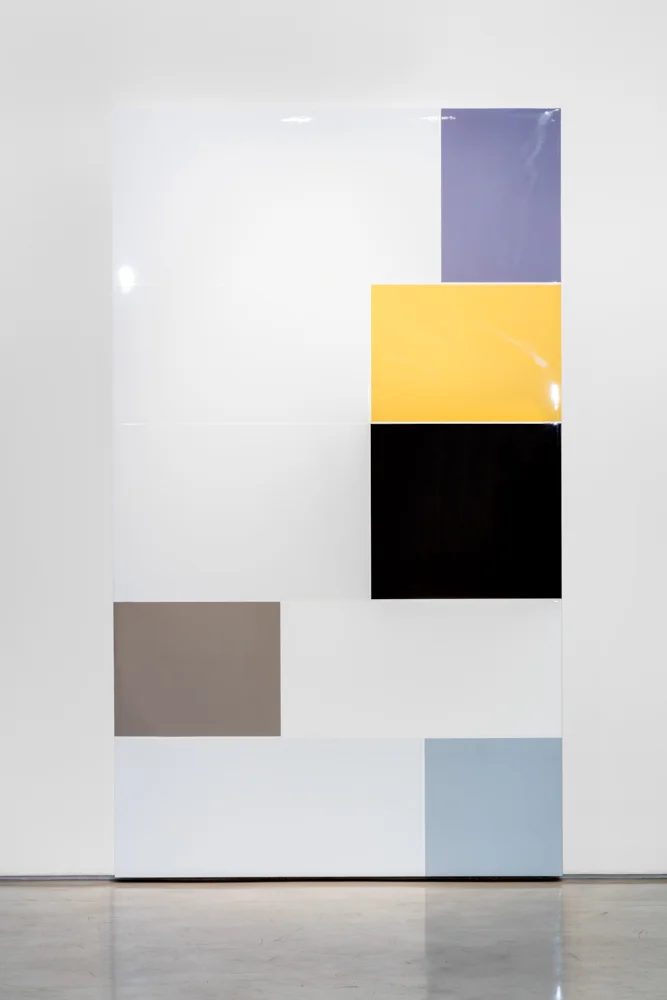 Heyoka (P.S. Transcriptions) Polished urethane on gessoed canvas, 96 X 56 inches, 2015