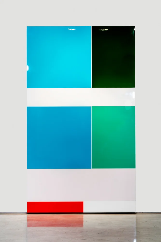 Pessimism (Feelings and Emotions Chart), Polished urethane on gessoed canvas, 2016