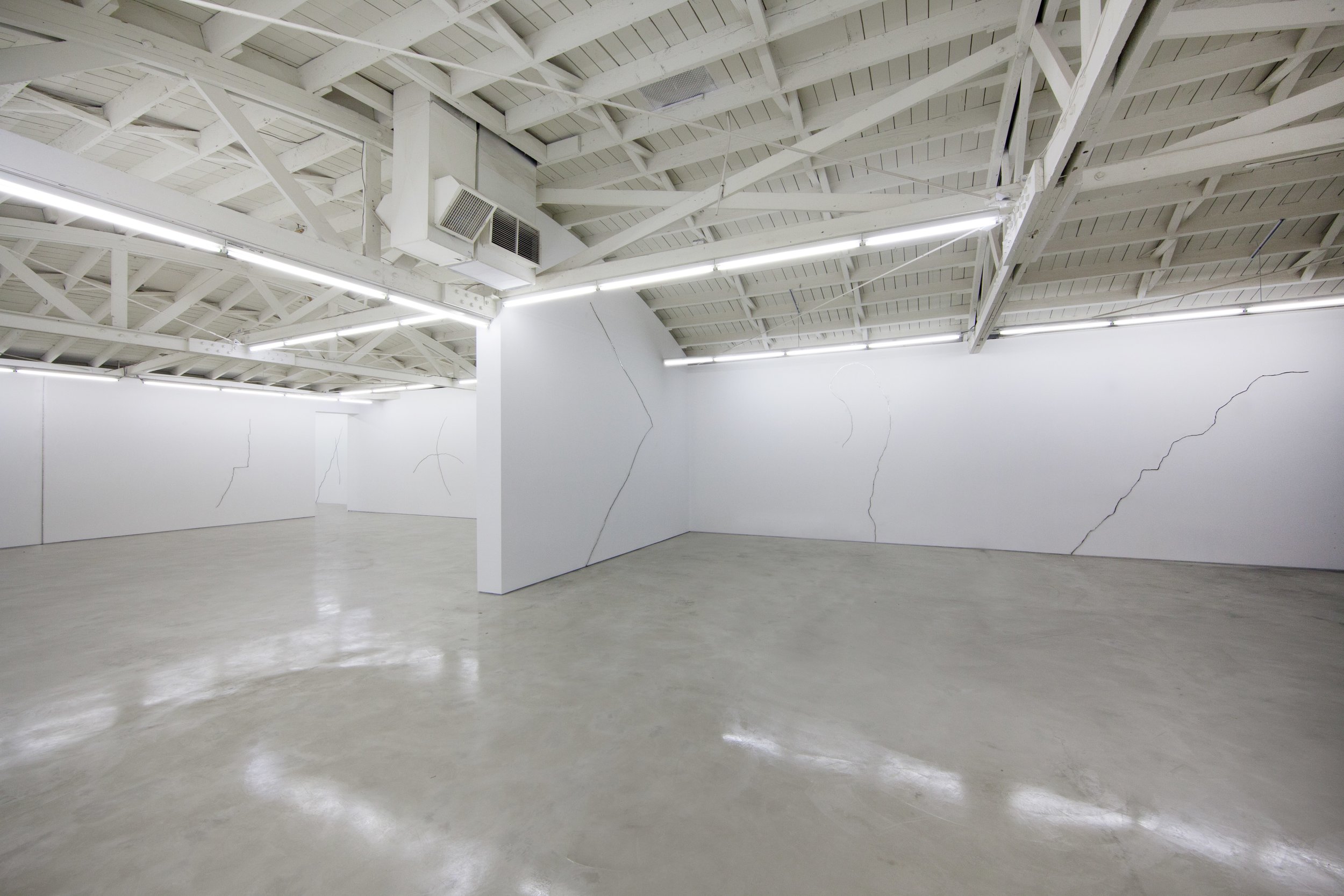 Lines and cracks and zebras and horses, Installation view, OHWOW, Los Angeles, CA. 2013