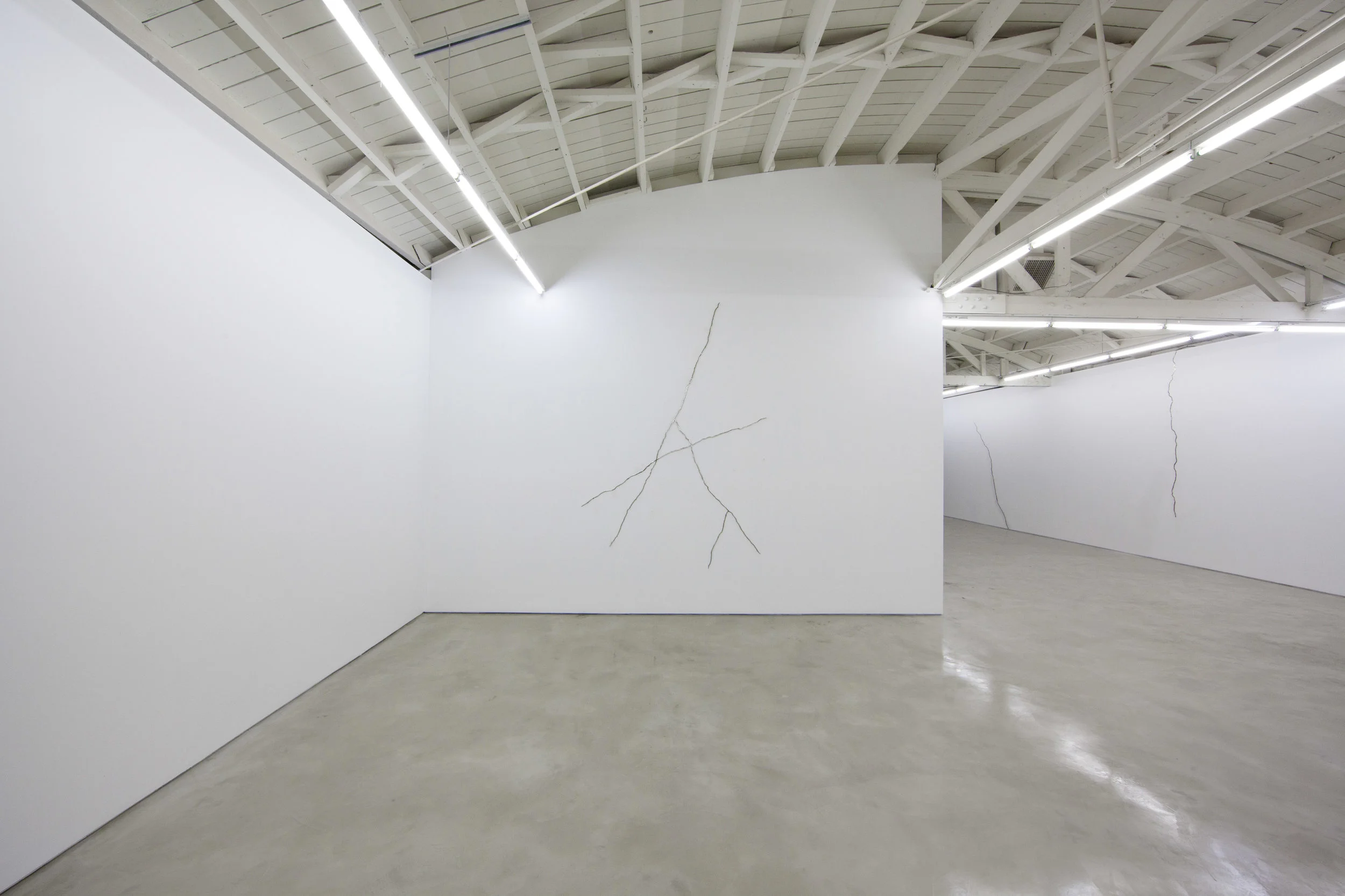 Lines and cracks and zebras and horses, Installation view, OHWOW, Los Angeles, CA. 2013