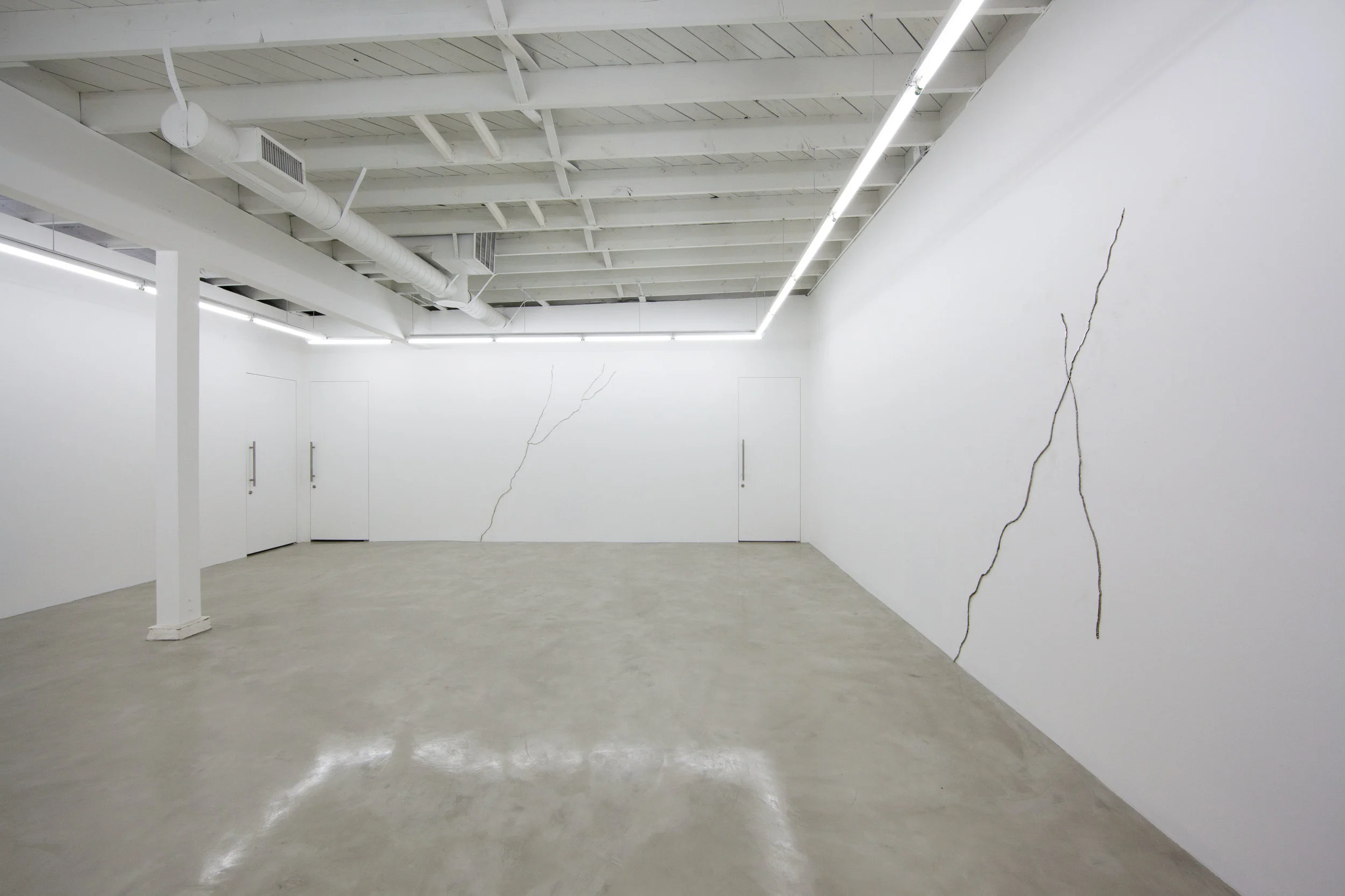 Lines and cracks and zebras and horses, Installation view, OHWOW, Los Angeles, CA. 2013