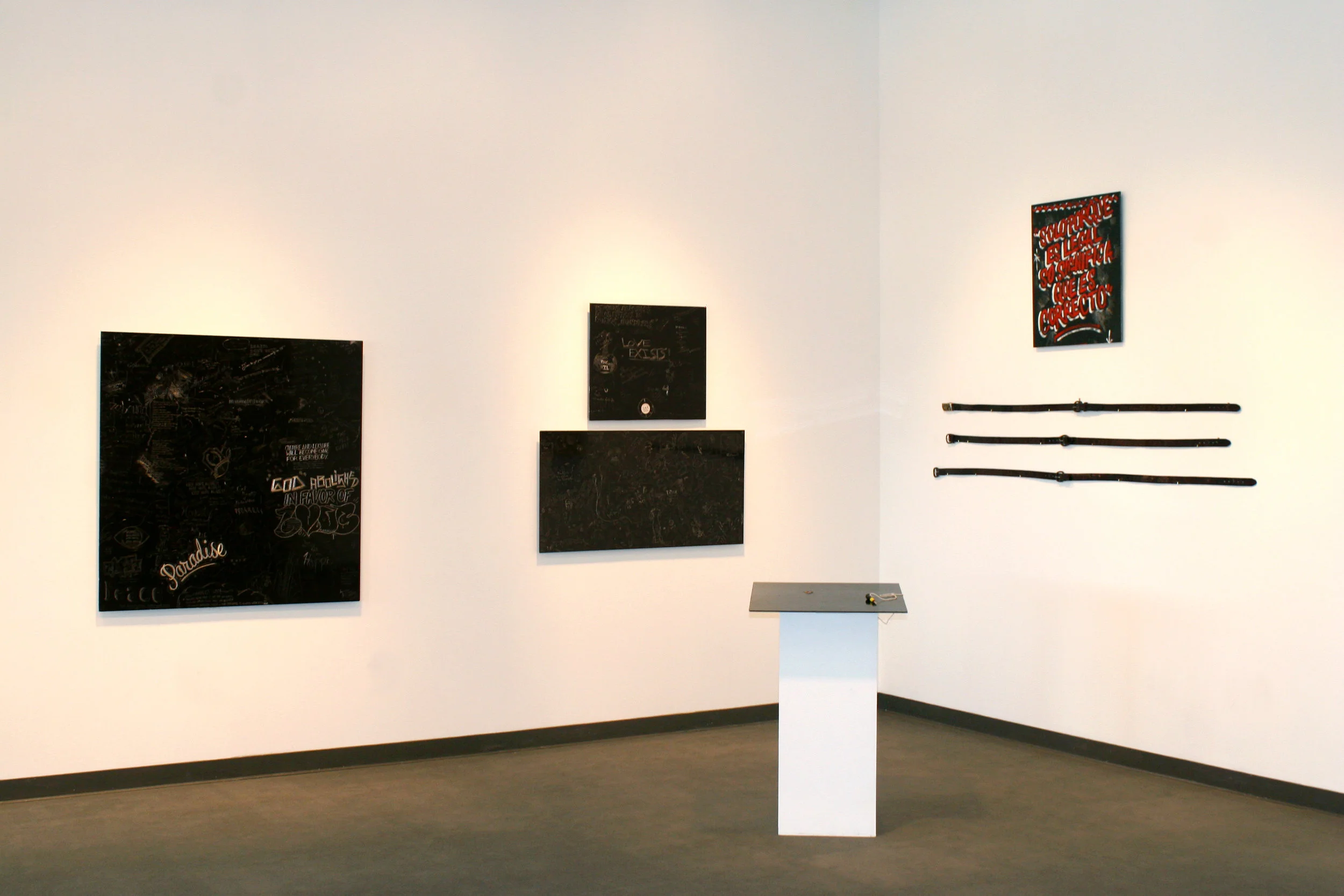 Sign Language w/ Juan Angel Chavez, University of San Antonio DT Galley, Curated by Kimberly Aubuchon, 2008