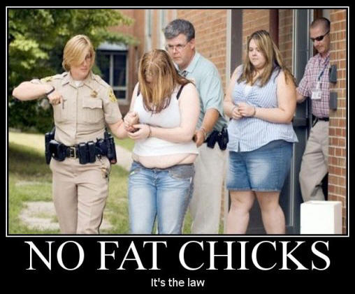 no-fat-chicks1.jpeg