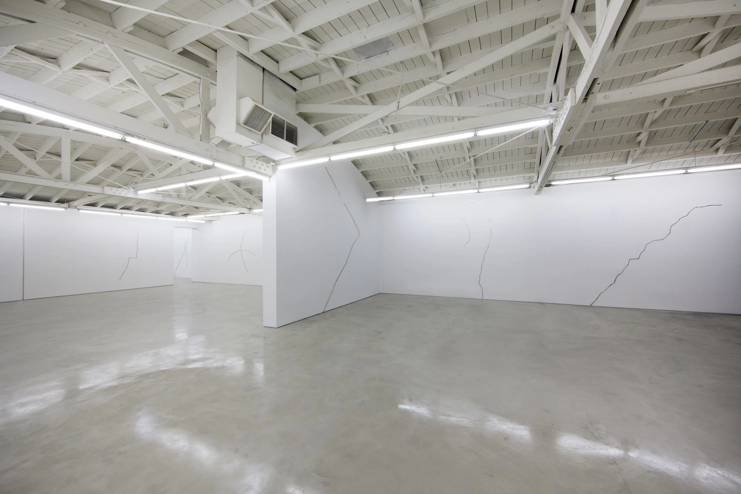 Michael Genovese, Lines and cracks and zebras and horses exhibition, Los Angeles