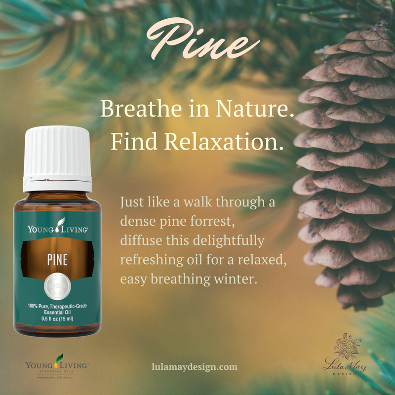 Pine - November 2017 promotions.png
