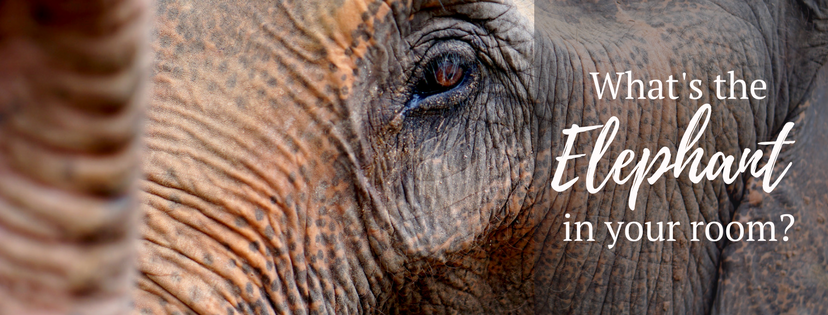 What's the elephant in your room banner.png