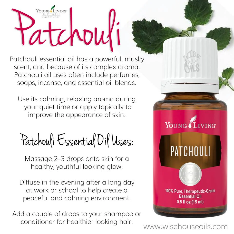 patchouli ER.jpg