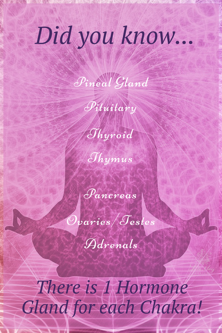 Endocrine System and Chakras.png