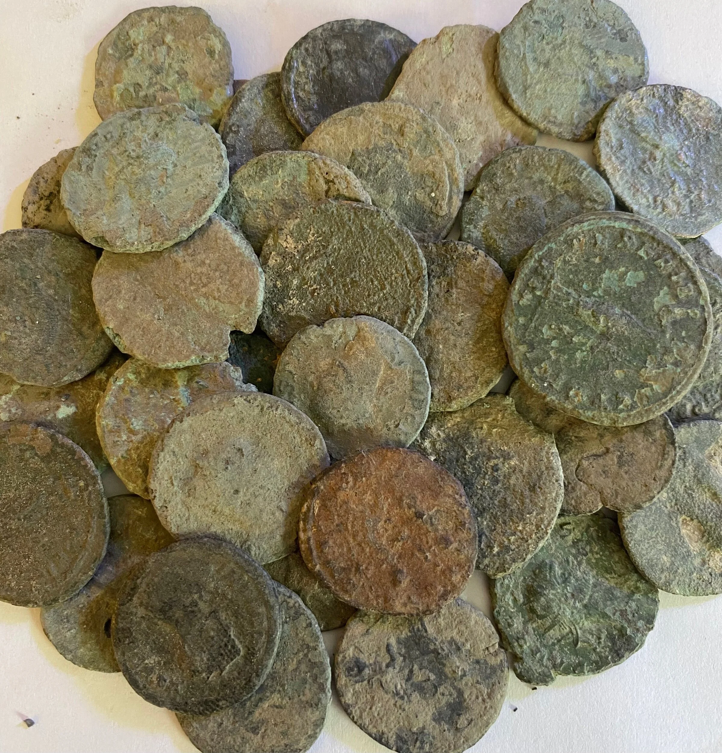 88E511E4-D676-494C-8118-9D354484EFC7