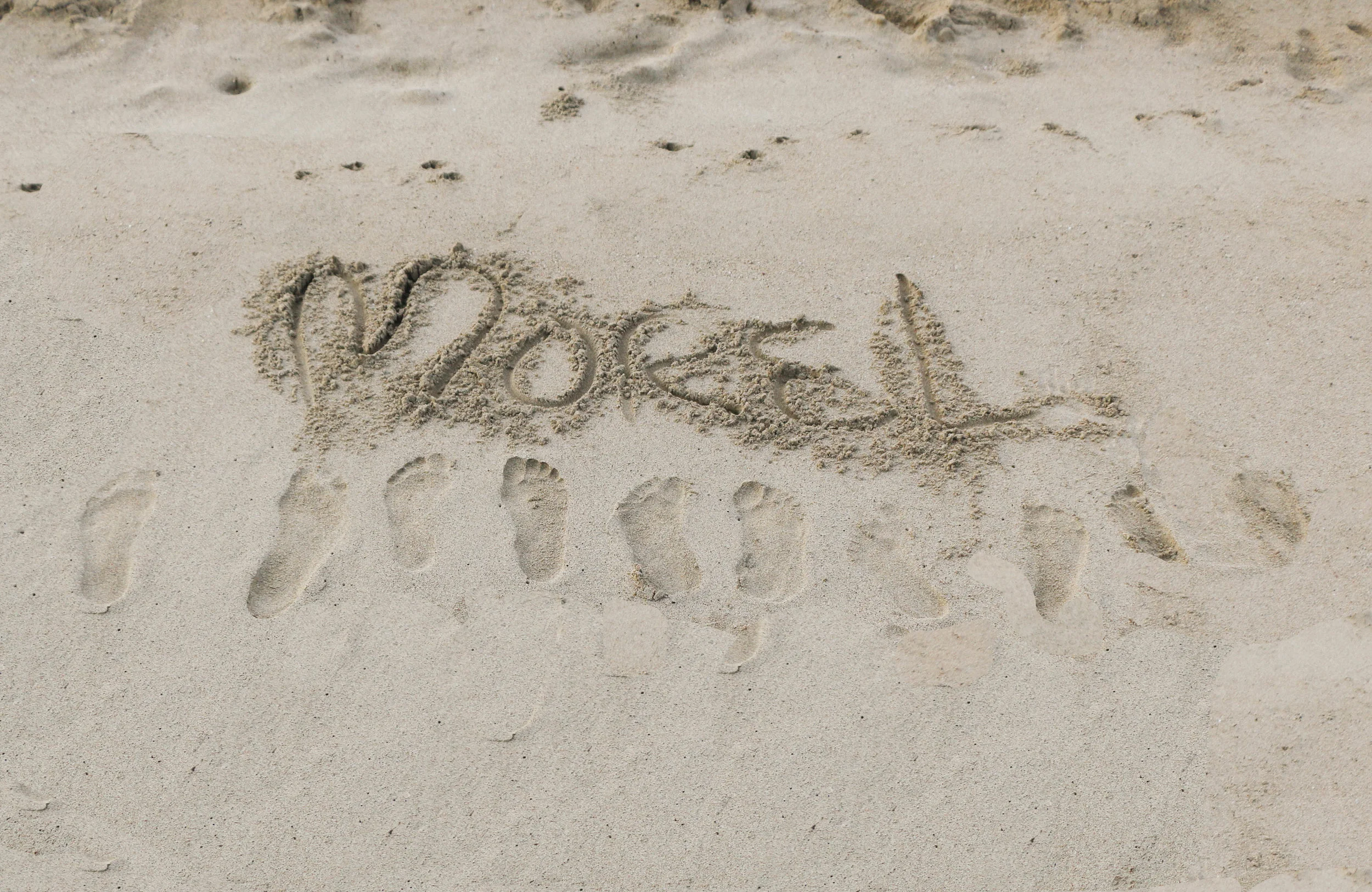 MorelFamily-91.jpg