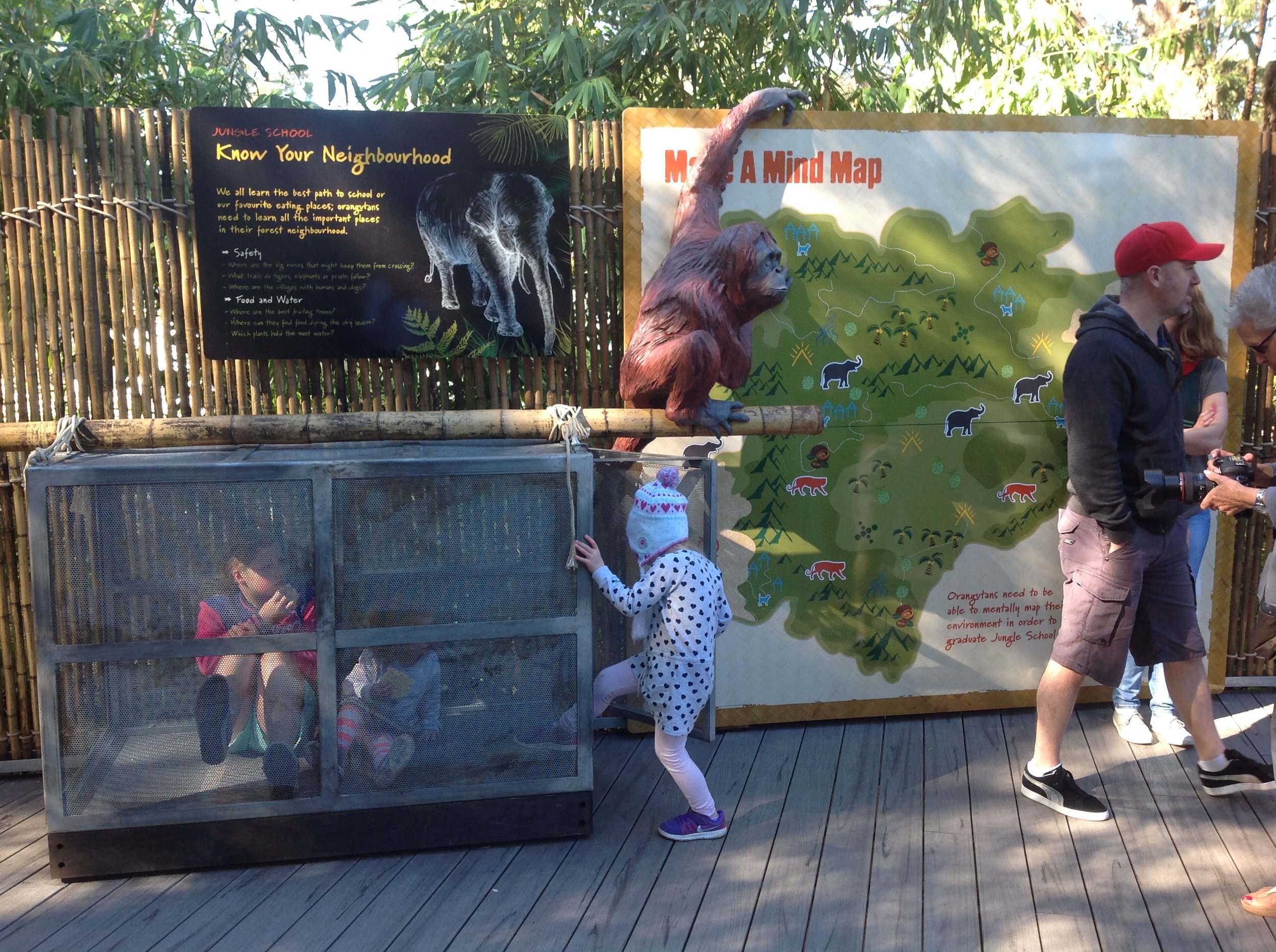 release crate and Orangutan sculpture Perth Zoo 2014.JPG