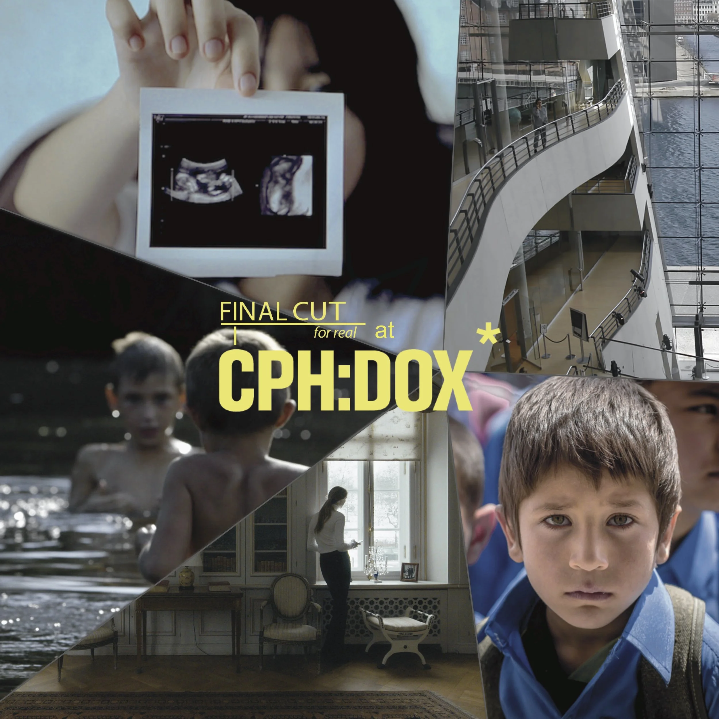 FCFRatCPHDOXwebsite.jpg