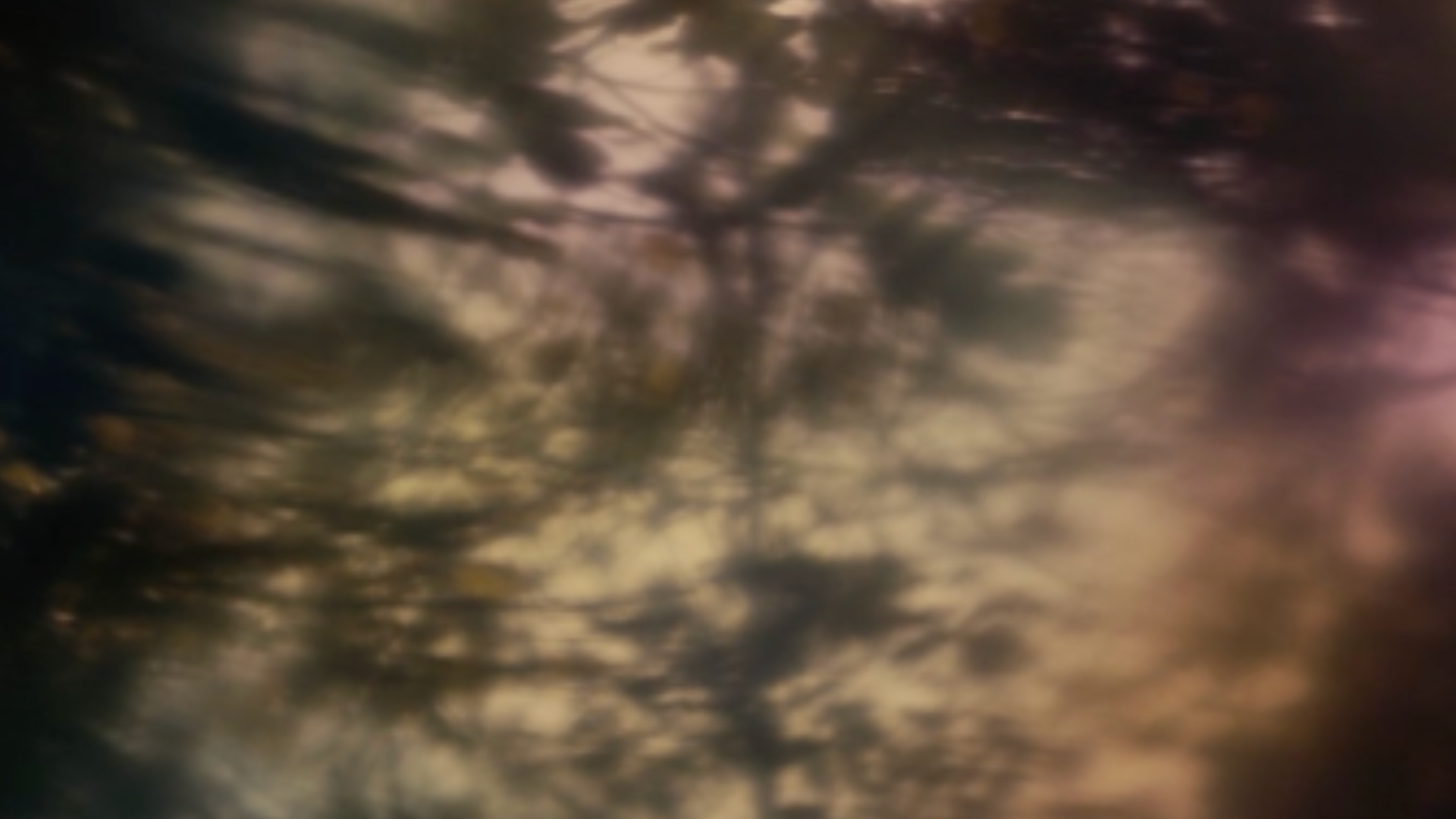 DER VAR ENGANG ET LAND MED SKOVE (VR)