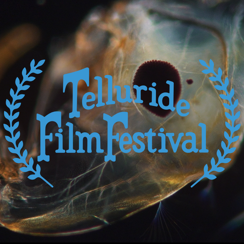 'THE REVOLUTION AGAINST DEATH' SELECTED FOR TELLURIDE FILM FESTIVAL 2026