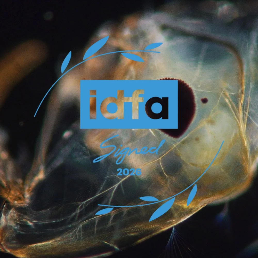 'THE REVOLUTION AGAINST DEATH' SELECTED FOR IDFA'S SIGNED PROGRAMME 2026
