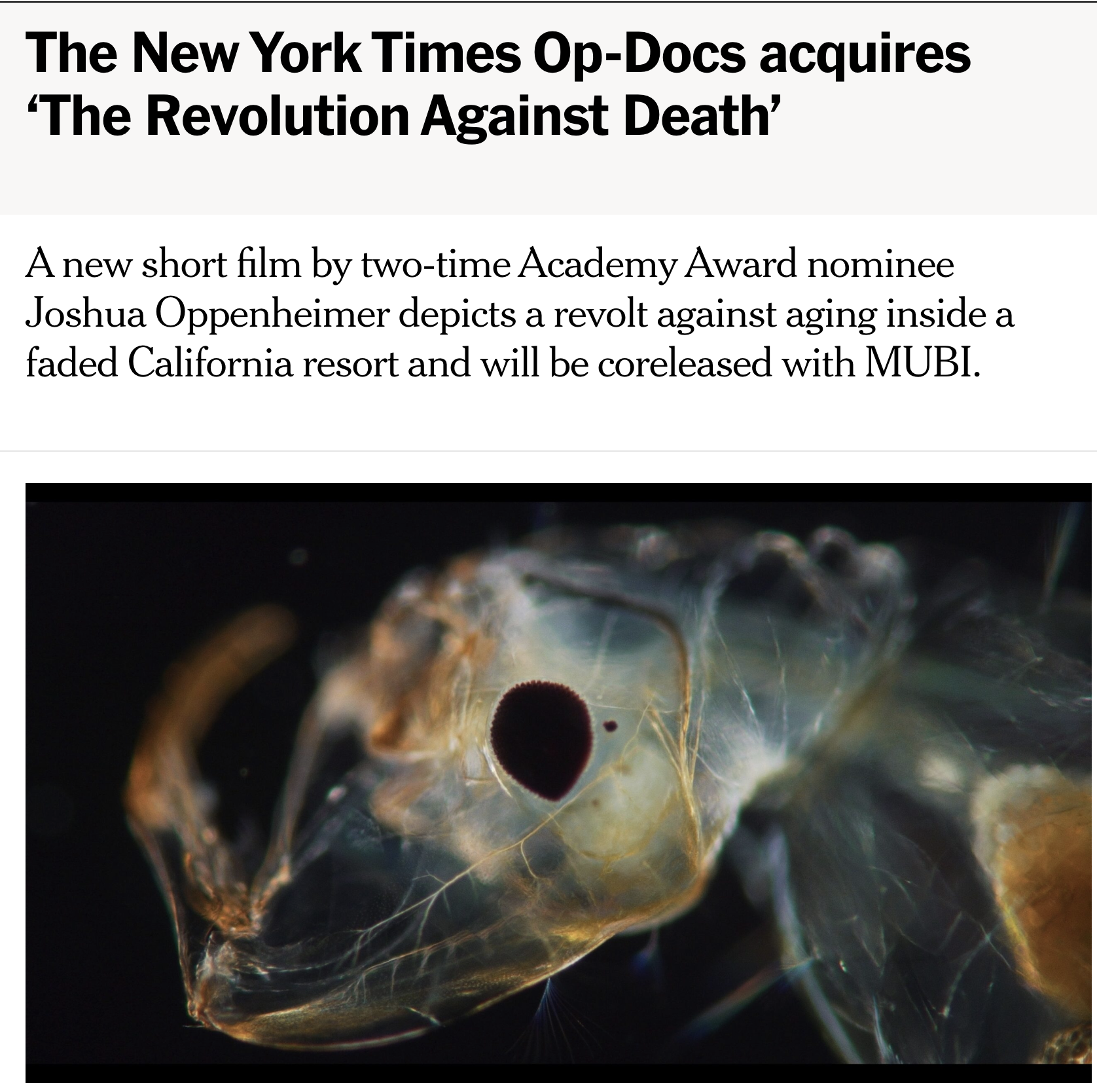 'THE REVOLUTION AGAINST DEATH' acquired by the new york times
