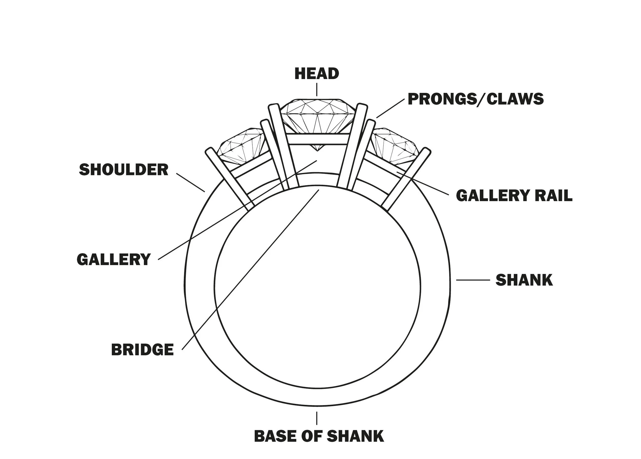 Details more than 165 anatomy of a ring awesomeenglish.edu.vn