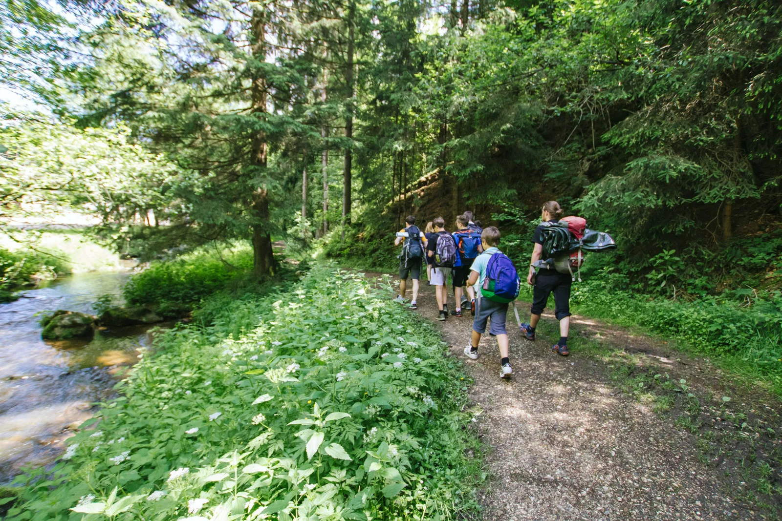 adventure-movements-camp-2.jpg