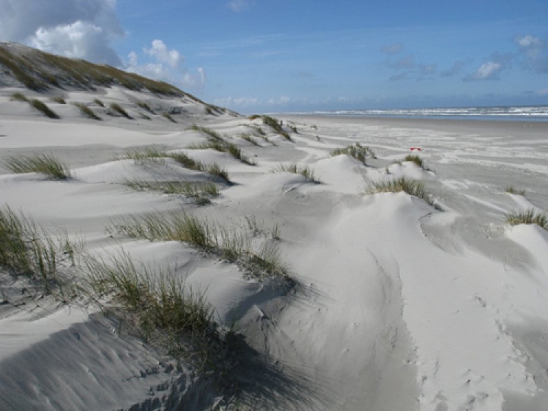 Zee-en-duinen.jpg