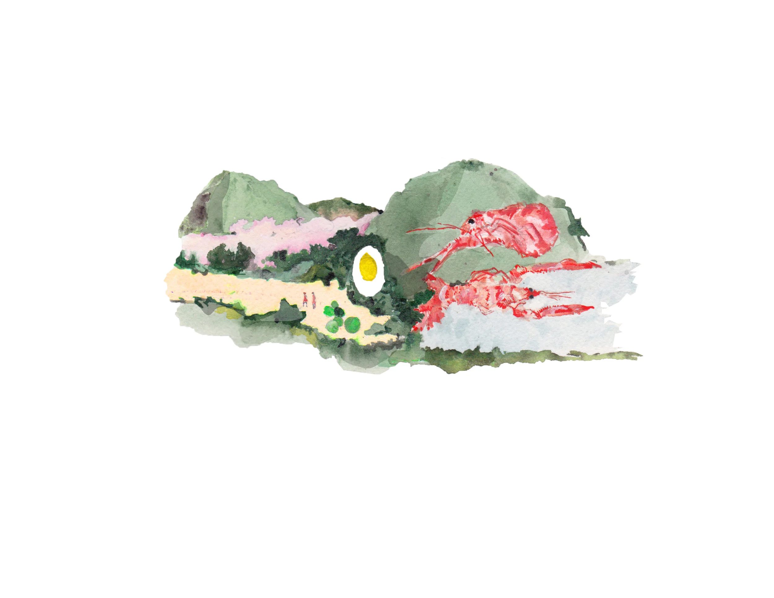 shrimpanspring.jpg