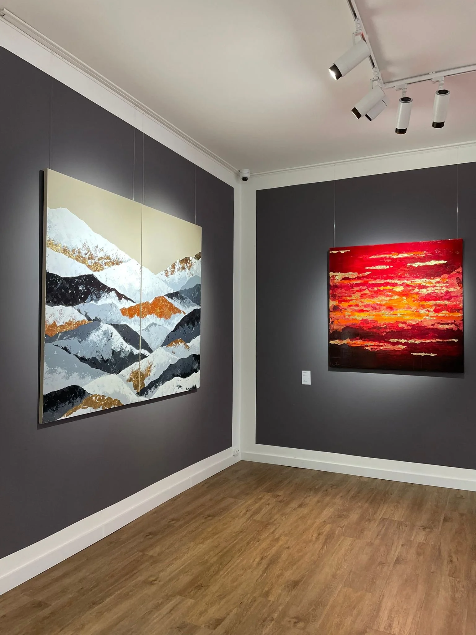 Solo Show at Villa del Arte in Amsterdam