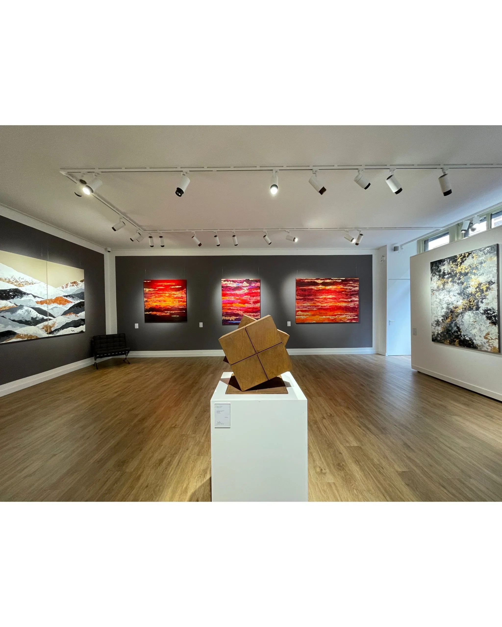 Solo Show at Villa del Arte in Amsterdam 