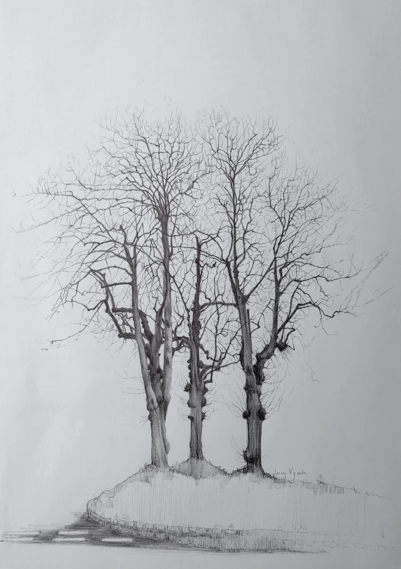 DSCF4890.jpg
