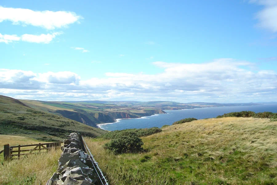 image-gallery-11-lg.jpg