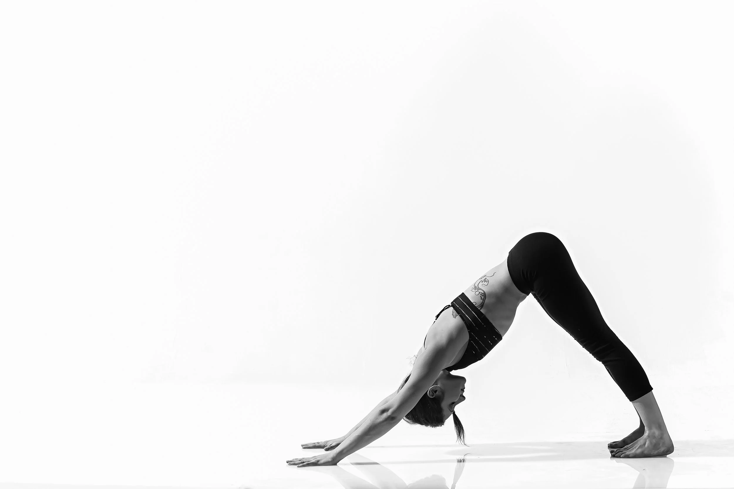 Jaqlin Medlock Photography