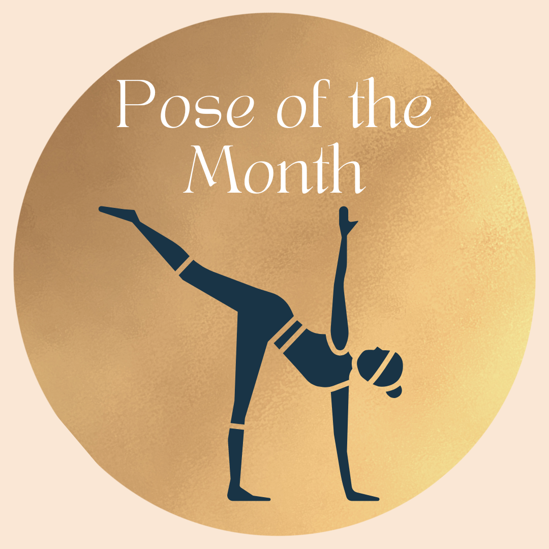 August 2023 at Oyster Bay Yoga — Oyster Bay Yoga