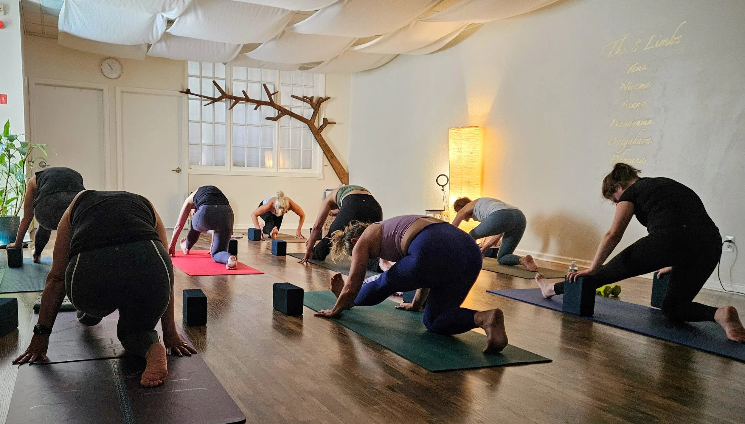July 2026 at Oyster Bay Yoga