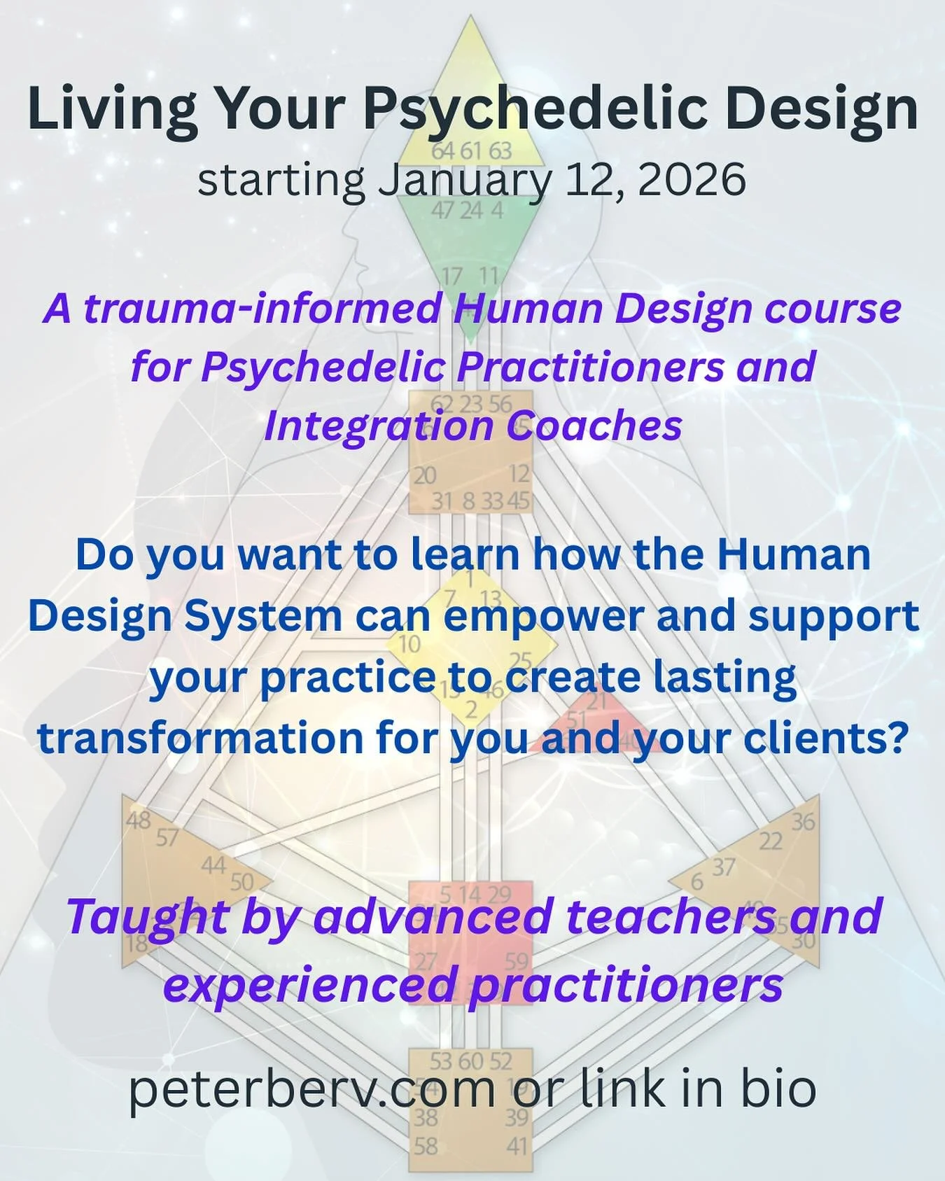 We are gathering an amazing team of Human Design professionals who are also experienced facilitators to support your practice, personally and professionally. 

The Human Design System offers a framework that can be applied into any psychede!ic or int