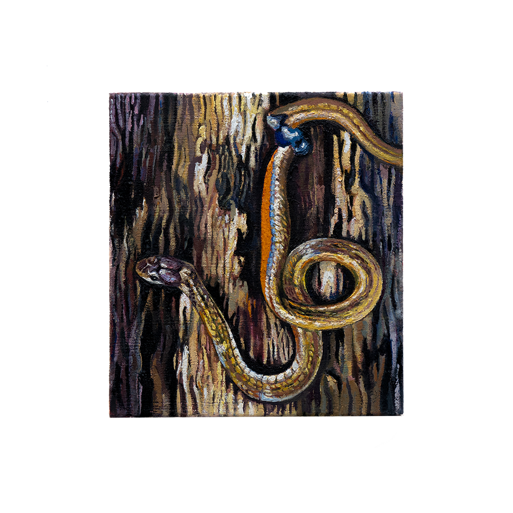 39a.png