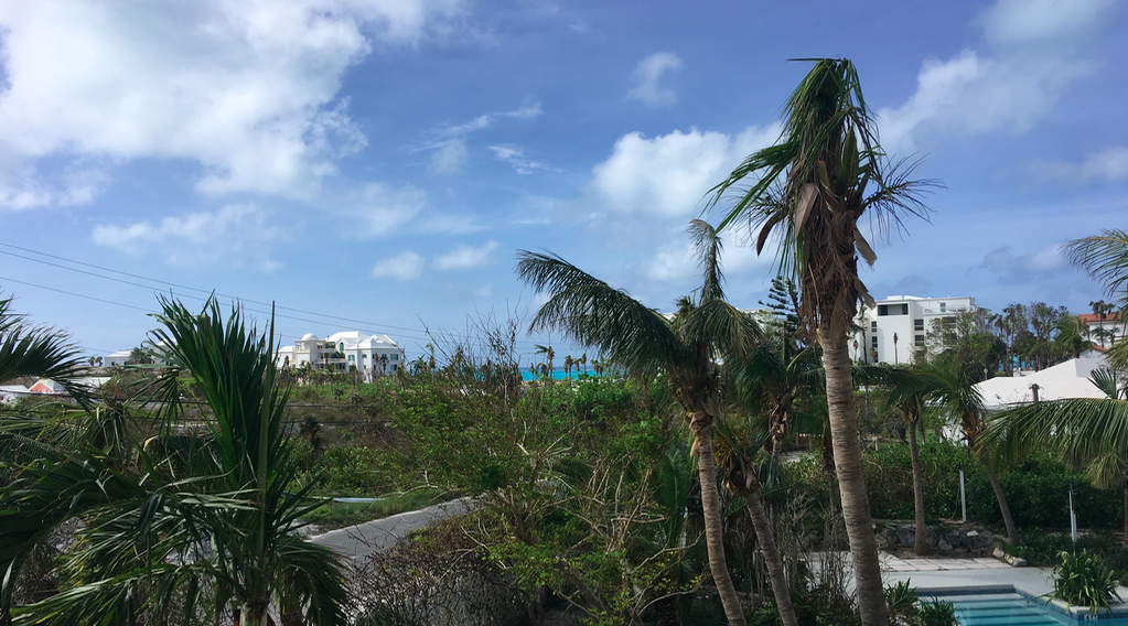 The "now" view from the apartment we stay when you stay in Villa Capri. Bonus? We now have an ocean view.