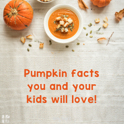 bear-picks-a-pumpkin-pumpkin-spice-and-a-little-bear-thats-nice-400x400.png