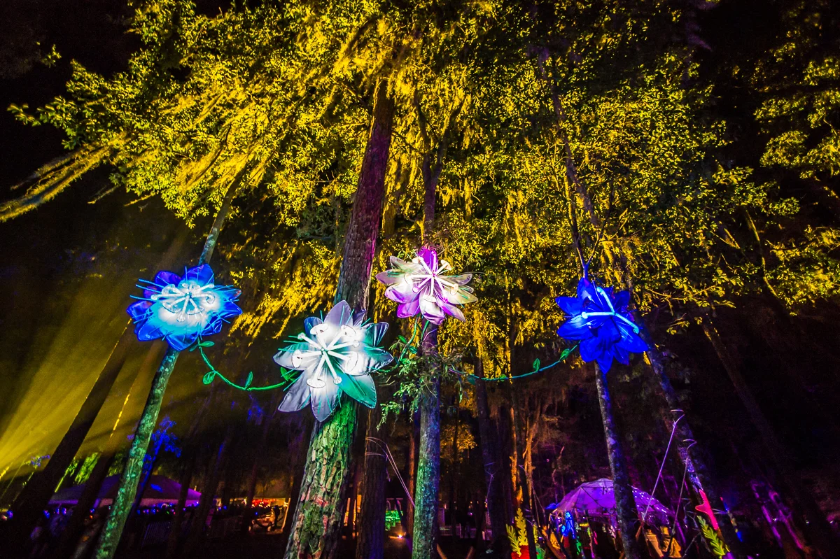 Hulaween - Day 2 - JT-20141101-2022.jpg