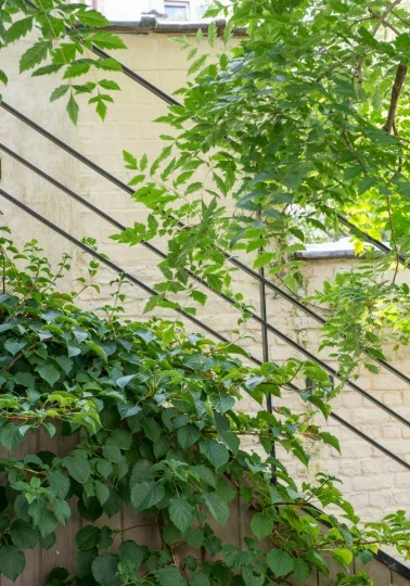 tuinarchitect_steyaert_brussel_tuintrap_fotografie www.Maaykederidder.com