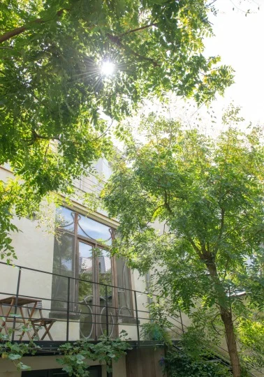 tuinarchitect_steyaert_brussel_borstwering_fotografie www.Maaykederidder.com