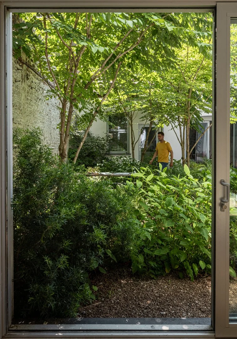 tuinarchitect_steyaert_brussel_jungle_groen_stadstuin_bureautuin_bureau_aralia_acanthus