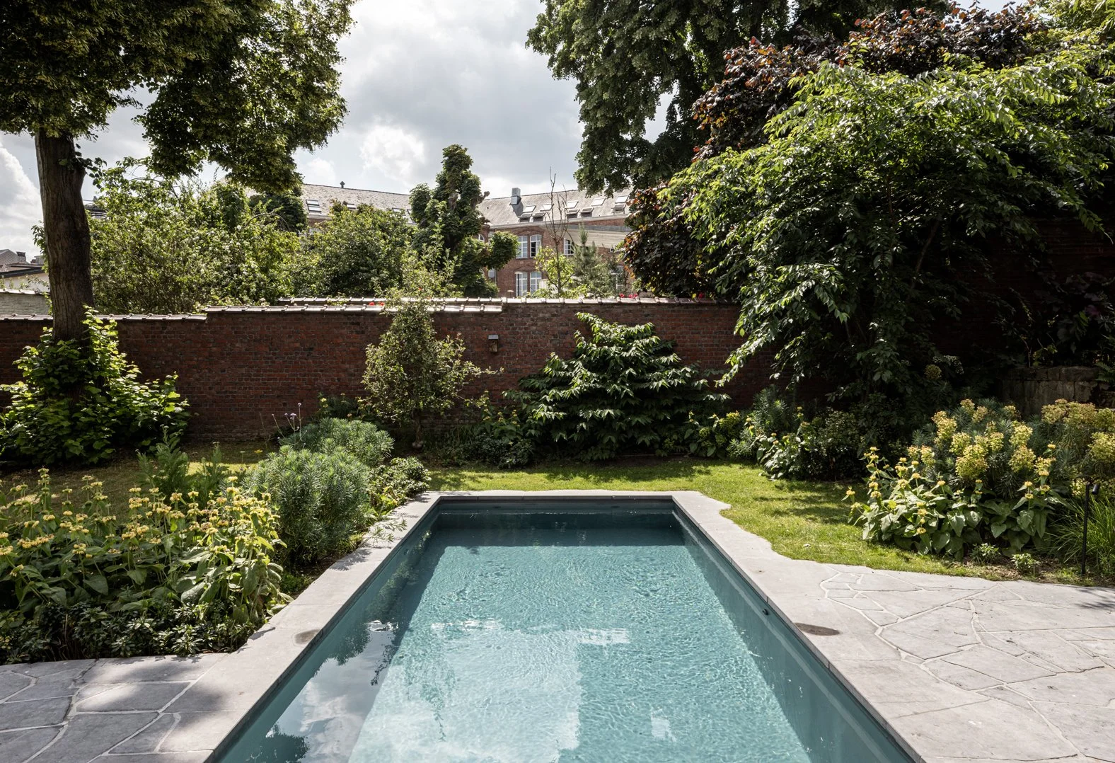 tuinarchitect_steyaert_brussel_schaarbeek_jungle_groen_stadstuin_zwembad_phlomis_flagstone