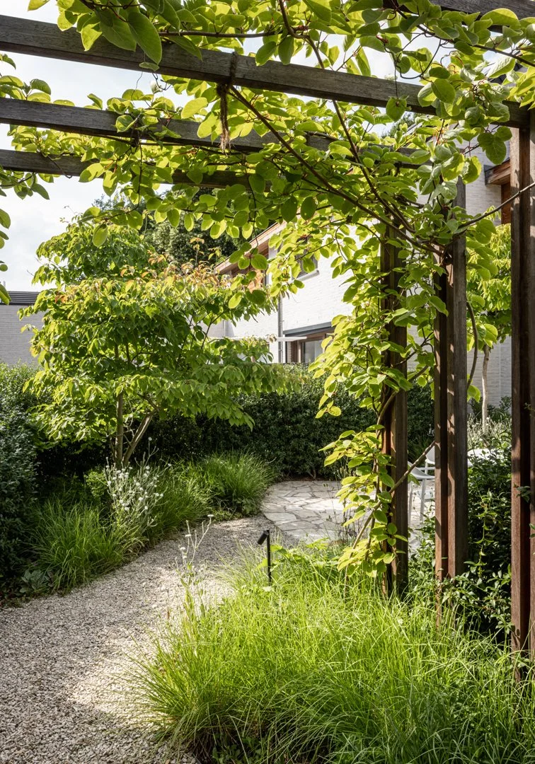 tuinarchitect_steyaert_brussel_leuven_water_pergola_jungle_groen_stadstuin_flagstone