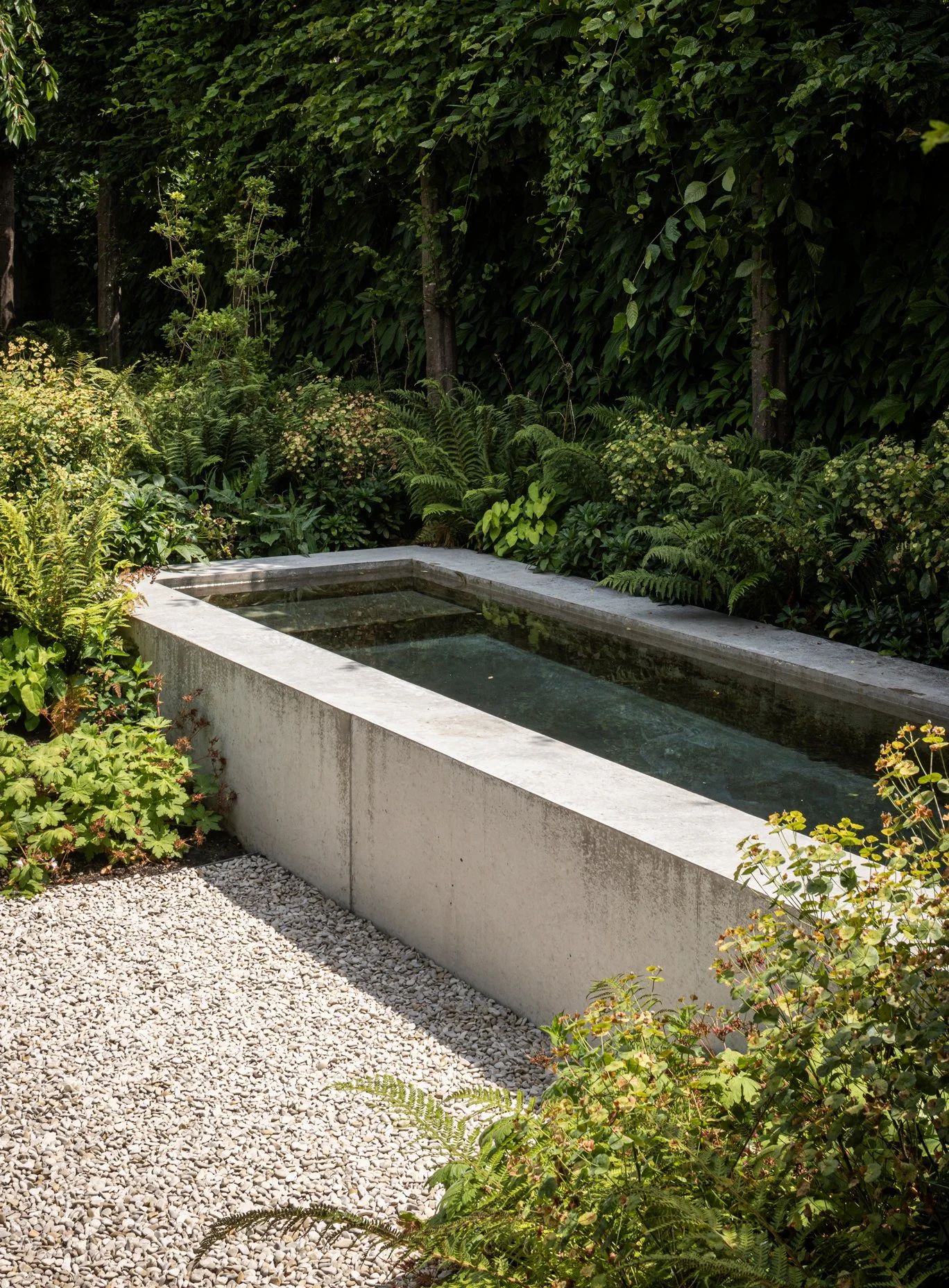 tuinarchitect_steyaert_brussel_beton_mechelen_zwembad_jungle_groen_stadstuin