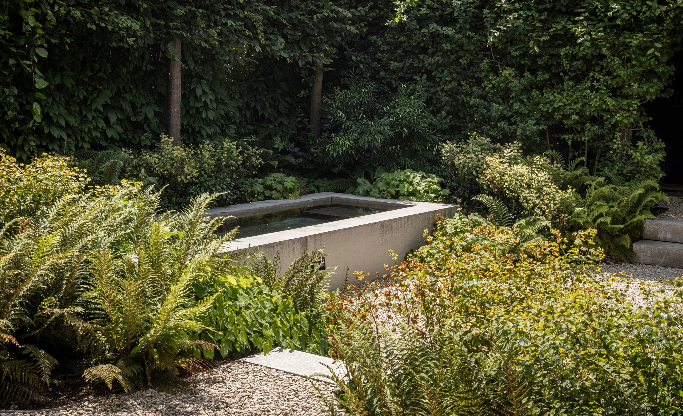 tuinarchitect_steyaert_brussel_beton_mechelen_zwembad_jungle_groen_stadstuin