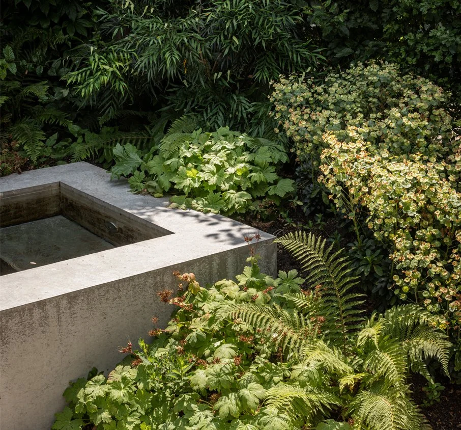 tuinarchitect_steyaert_brussel_beton_mechelen_zwembad_jungle_groen_stadstuin