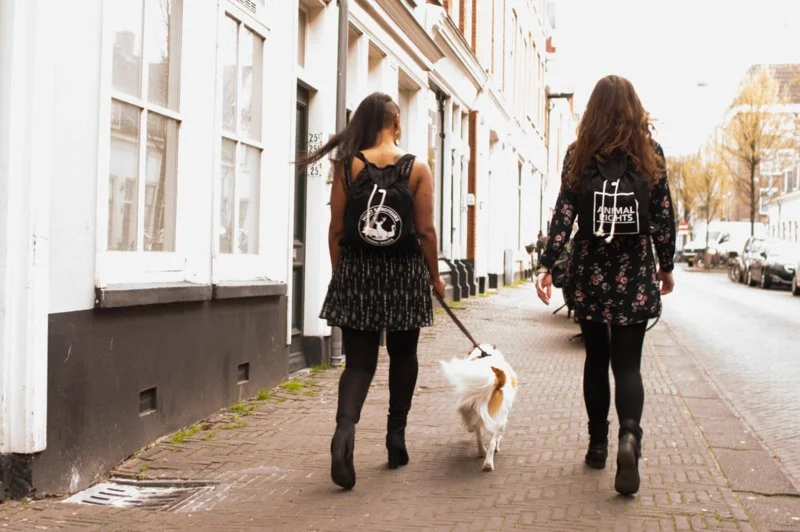Animal-rights-Stay-gold-backpack.jpeg