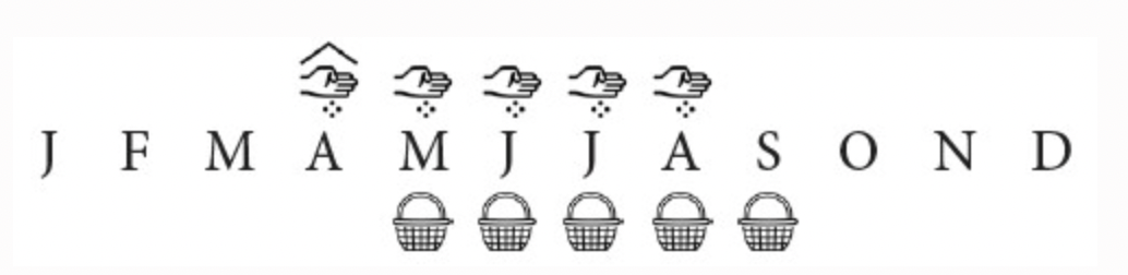 Zomerpostelein.png