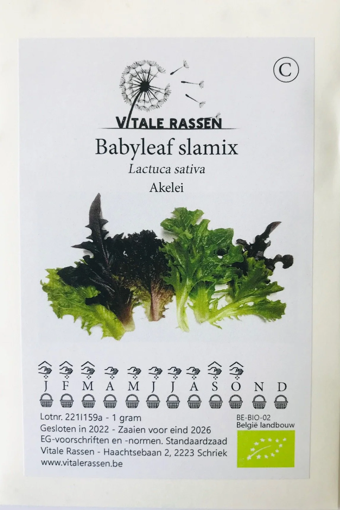 Babyleaf-slamix-Vitale-rassen-Stay-gold.jpg