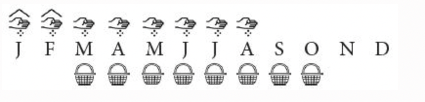 Radijs.png